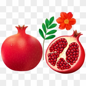 F Cdba Orig - Pomegranate Clip Art, HD Png Download - pomegranate png