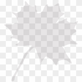 Maple Leaf Clip Art, HD Png Download - maple tree png