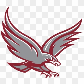 Albertus Magnus Home Page Png High School Falcon Logo - Albertus Magnus High School Logo, Transparent Png - falcons logo png