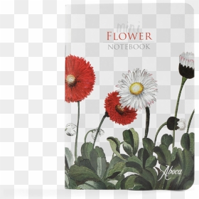 Mini Flower Notebook Daisies - English Marigold, HD Png Download - daisies png