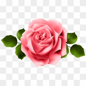 Clipart Rose Tea - Pink Red Rose Png, Transparent Png - pink roses png