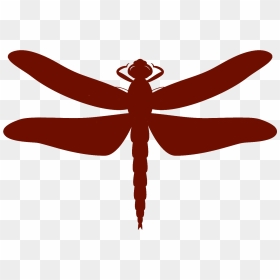 Dragonfly Clipart Mothers Day - Dragonfly, HD Png Download - mothers day png
