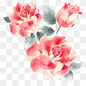 Transparent Rose Bush Png - Rose Drawing Pink Png, Png Download - pink roses png