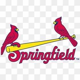 Meaning Springfield Cardinals Logo And Symbol - Springfield Cardinals Logo Png, Transparent Png - cardinal png