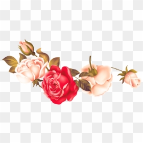 Rose Png Flower Image Free Download Searchpng - Garden Roses, Transparent Png - pink roses png