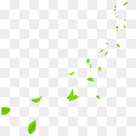 Green Leaves Falling Png , Png Download - Fall Green Leaves Png, Transparent Png - falling png