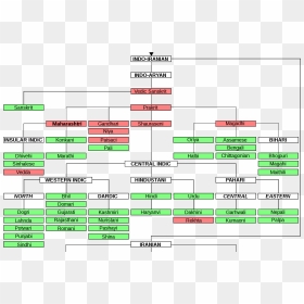 Indo-aryan Languages Tree - Indo Aryan Language Chart, HD Png Download - tree.png