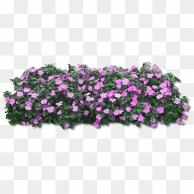 Flower Bush Transparent Png, Png Download - purple flower png