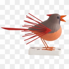Female Cardinal Png - Perching Bird, Transparent Png - cardinal png