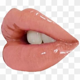 Png Transparent Lip Transparent Lip Png Lips - Glossy Lips Png Transparent, Png Download - lip png