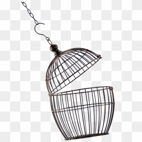 Open Bird Cage Png - Open Bird Cage Png Transparent, Png Download - nicolas cage png