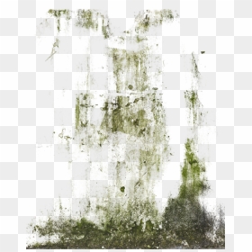 Decalbottom0038 1 S Decalbottom0039 1 S Decalsstain0018 - Transparent Moss Texture, HD Png Download - moss png