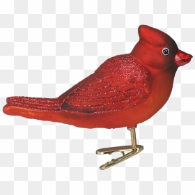 Red Winter Cardinal Ornament Clip - Northern Cardinal, HD Png Download - cardinal png