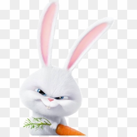 The Secret Life Of Pets Rabbit Snowball Png Photos - Snowball Secret Life Of Pets Png, Transparent Png - snowball png