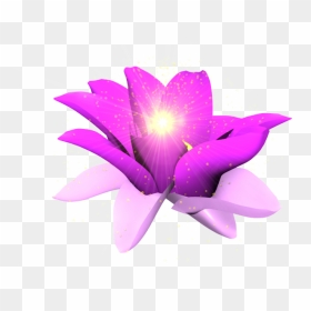 Share This Image - Purple Glowing Flower Png, Transparent Png - purple flower png