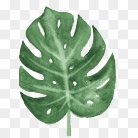 The Green Banana Leaf Watercolor Transparent Buckle - Watercolor Leaf Png Transparent, Png Download - watercolor leaves png