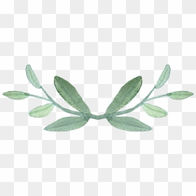 Greenery Png , Png Download - Transparent Greenery Clipart Free, Png Download - greenery png