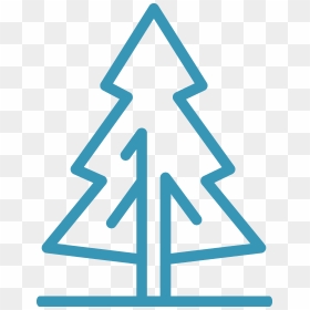 Olympic National Park - Still Loading Christmas Tree, HD Png Download - loading bar png