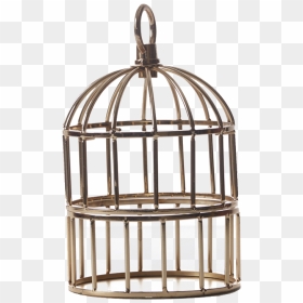 Cage Png Hd Wallpaper - Cage, Transparent Png - cage png