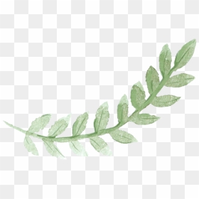 Transparent Watercolor Leaves Clipart - Green Leaf Watercolor Png, Png Download - watercolor leaves png
