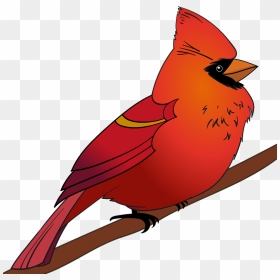 Cardinal Clipart - Northern Cardinal, HD Png Download - cardinal png