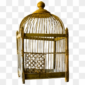Bird Cage - Cat In Birdge Cage, HD Png Download - cage png