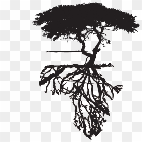 Life And Death Png - African Roots Tattoo, Transparent Png - death png