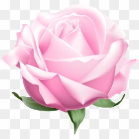 Clip Art, HD Png Download - pink roses png