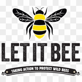 Let It Bee Taking Action To Protect Wild Bees - Honeybee, HD Png Download - bees png