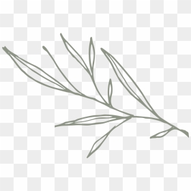 Greenery Png Black And White, Transparent Png - greenery png