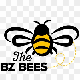Bee1 - Transparent Background Bee Clipart, HD Png Download - bees png