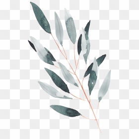 Hand Painted A Leaf Watercolor Transparent - Watercolor Transparent Leaves Png, Png Download - watercolor leaves png