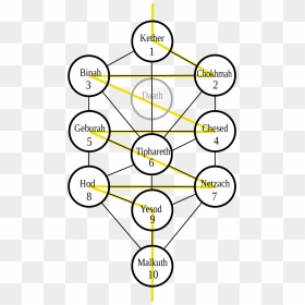 Kabbalah Tree Of Life, HD Png Download - tree of life png