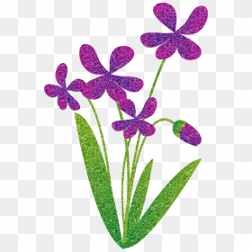 Moth Orchid, HD Png Download - purple flower png