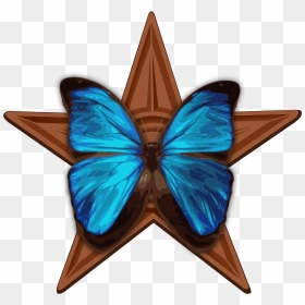 Mathematical Shape In Nature, HD Png Download - blue butterfly png