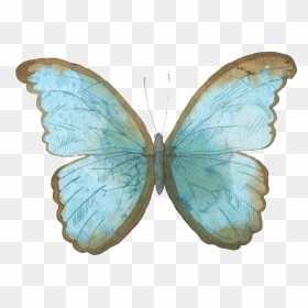 Blue Butterfly Watercolor Transparent Decorative Pattern - Watercolor Butterfly Png Blue, Png Download - blue butterfly png