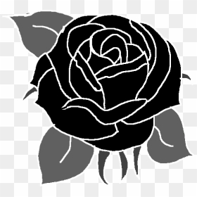 Garden Roses , Png Download - Illustration, Transparent Png - black rose png