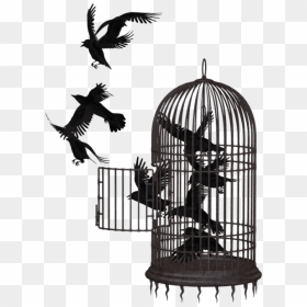 Cage Wires Png - Bird In A Cage Transparent, Png Download - cage png