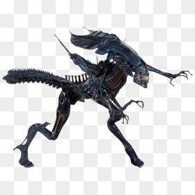 Alien Queen Neca , Png Download, Transparent Png - xenomorph png