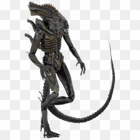 - Neca Alien Defiance Xenomorph , Png Download - Neca Defiance Alien, Transparent Png - xenomorph png