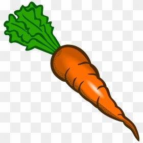 Drawing Vegetable Carrot, Picture - Carrot Clipart Png, Transparent Png - carrots png