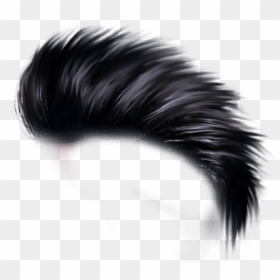 Transparent Girl Hair Png - One Side Hair Png, Png Download - donald trump hair png