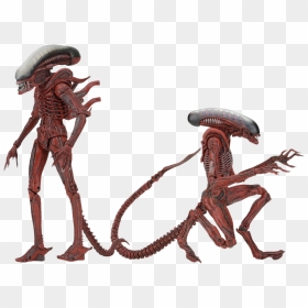 Transparent Alien Xenomorph Png - Neca Xenomorph Genocide Figure Big Chap And Dog Alien, Png Download - xenomorph png