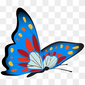 Vibrant Blue Butterfly Image - Colorful Butterflyclipart, HD Png Download - blue butterfly png