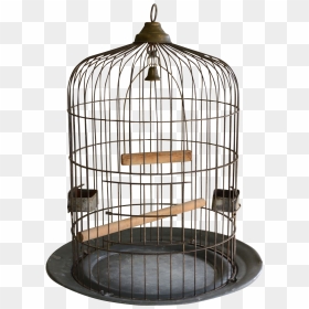 Large Antique Birdcage O - Brid Cage Open Png, Transparent Png - cage png