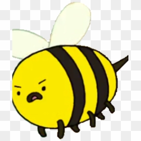 Cartoon Bee Adventure Time, HD Png Download - bees png