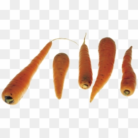 Carrots Png Image - Png Png Download Carrot Free, Transparent Png - carrots png
