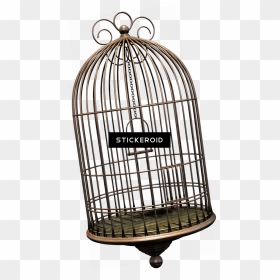 Cage Bird Objects - Bird Cage Png, Transparent Png - cage png