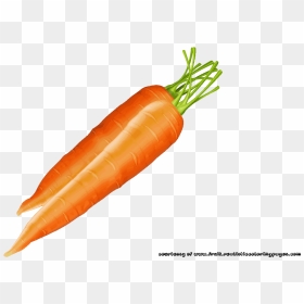 Carrot Image - Овощной Искусства Из Моркови, HD Png Download - carrots png