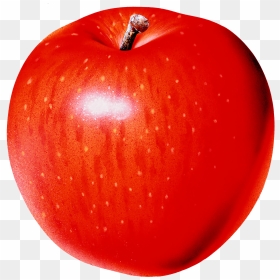 Cartoon Transparent Apple, HD Png Download - apples png